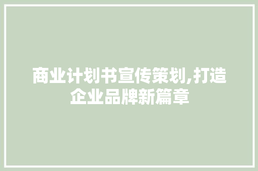 商业计划书宣传策划,打造企业品牌新篇章