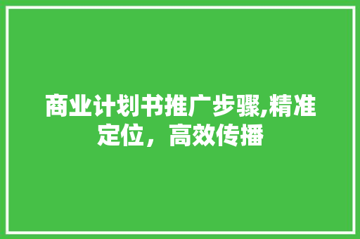 商业计划书推广步骤,精准定位，高效传播