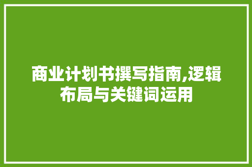 商业计划书撰写指南,逻辑布局与关键词运用