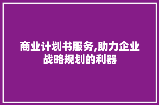 商业计划书服务,助力企业战略规划的利器