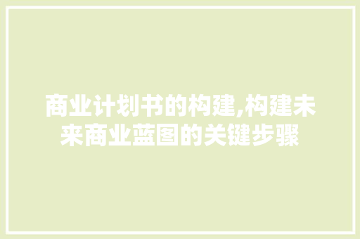 商业计划书的构建,构建未来商业蓝图的关键步骤