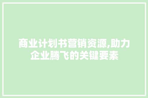 商业计划书营销资源,助力企业腾飞的关键要素