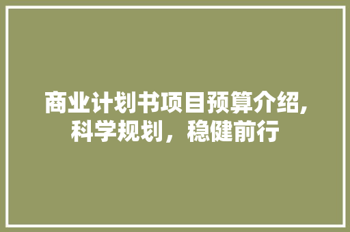 商业计划书项目预算介绍,科学规划，稳健前行