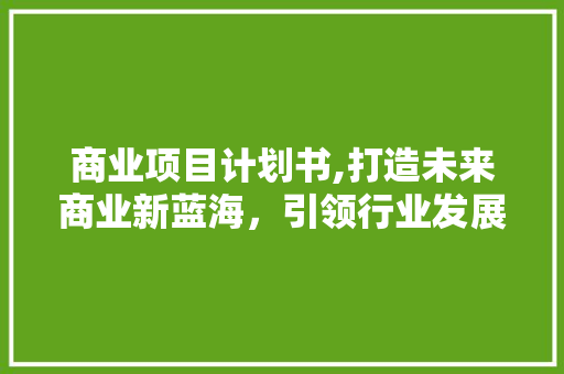 商业项目计划书,打造未来商业新蓝海，引领行业发展新潮流