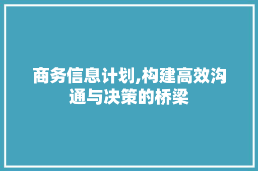 商务信息计划,构建高效沟通与决策的桥梁