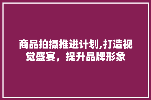 商品拍摄推进计划,打造视觉盛宴，提升品牌形象