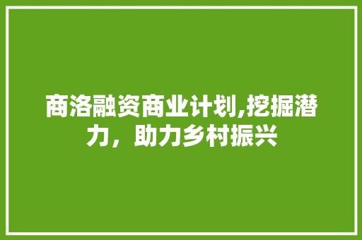 商洛融资商业计划,挖掘潜力，助力乡村振兴