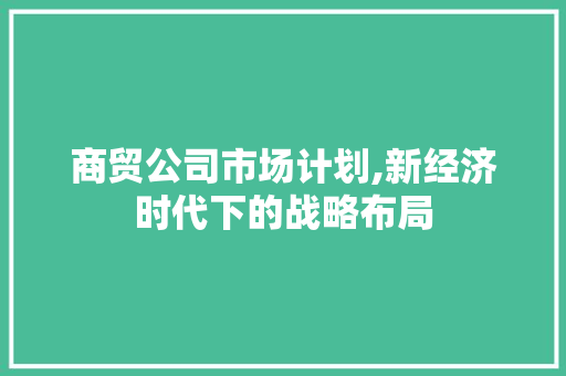 商贸公司市场计划,新经济时代下的战略布局 学术范文