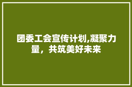 团委工会宣传计划,凝聚力量，共筑美好未来