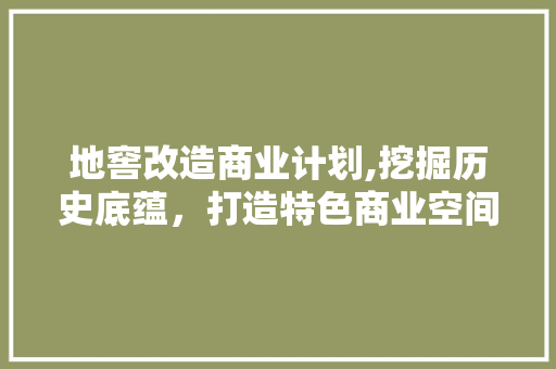 地窖改造商业计划,挖掘历史底蕴，打造特色商业空间