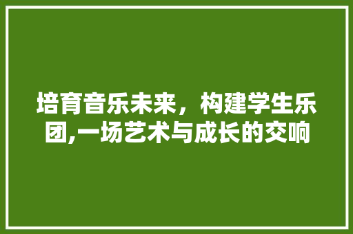 培育音乐未来，构建学生乐团,一场艺术与成长的交响乐