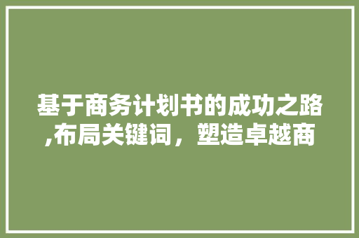 基于商务计划书的成功之路,布局关键词，塑造卓越商业蓝图