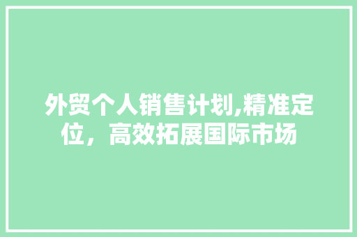 外贸个人销售计划,精准定位，高效拓展国际市场