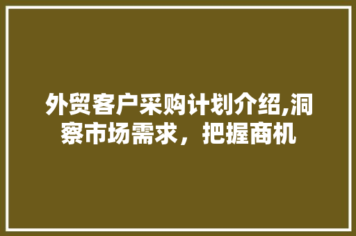 外贸客户采购计划介绍,洞察市场需求，把握商机 工作总结范文