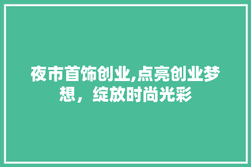 夜市首饰创业,点亮创业梦想，绽放时尚光彩