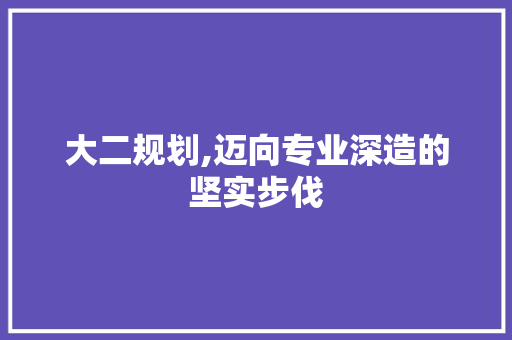 大二规划,迈向专业深造的坚实步伐