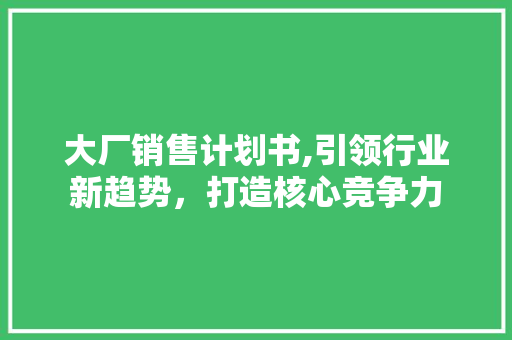 大厂销售计划书,引领行业新趋势，打造核心竞争力