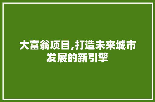 大富翁项目,打造未来城市发展的新引擎