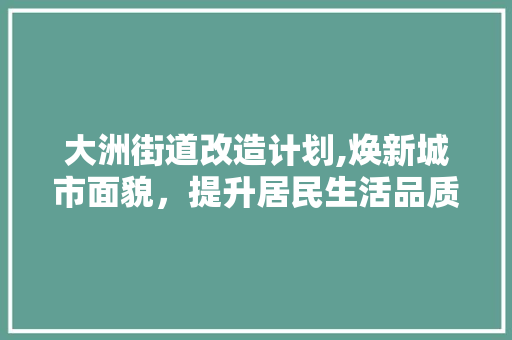 大洲街道改造计划,焕新城市面貌，提升居民生活品质