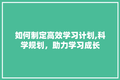 如何制定高效学习计划,科学规划，助力学习成长