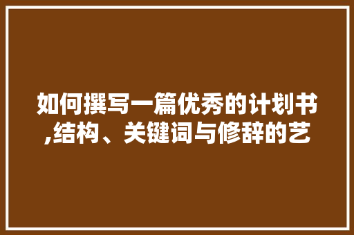 如何撰写一篇优秀的计划书,结构、关键词与修辞的艺术