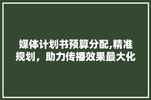 媒体计划书预算分配,精准规划，助力传播效果最大化