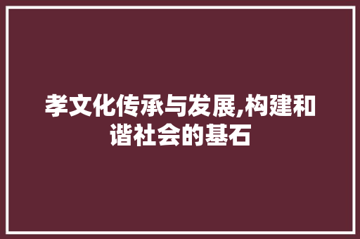 孝文化传承与发展,构建和谐社会的基石