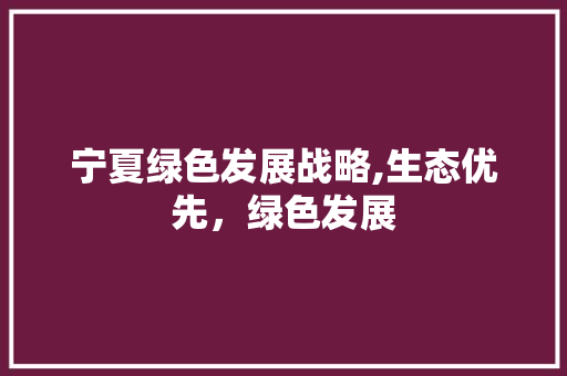 宁夏绿色发展战略,生态优先，绿色发展