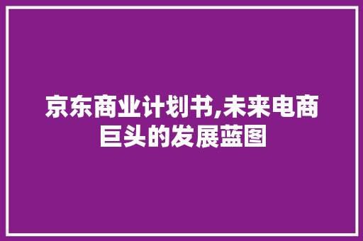 京东商业计划书,未来电商巨头的发展蓝图