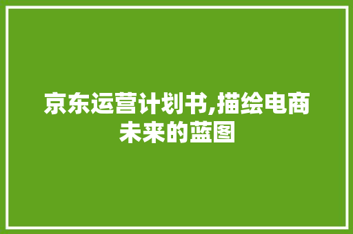 京东运营计划书,描绘电商未来的蓝图