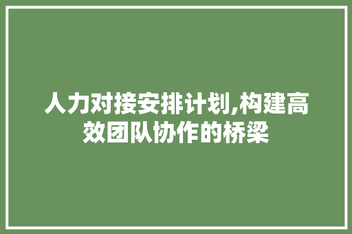 人力对接安排计划,构建高效团队协作的桥梁