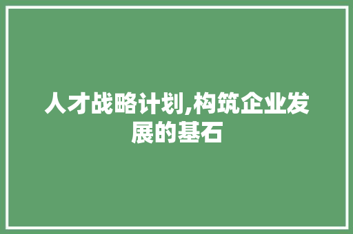 人才战略计划,构筑企业发展的基石