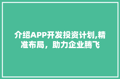 介绍APP开发投资计划,精准布局，助力企业腾飞