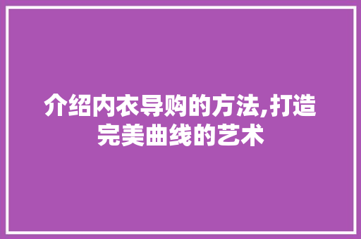 介绍内衣导购的方法,打造完美曲线的艺术