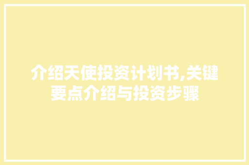 介绍天使投资计划书,关键要点介绍与投资步骤