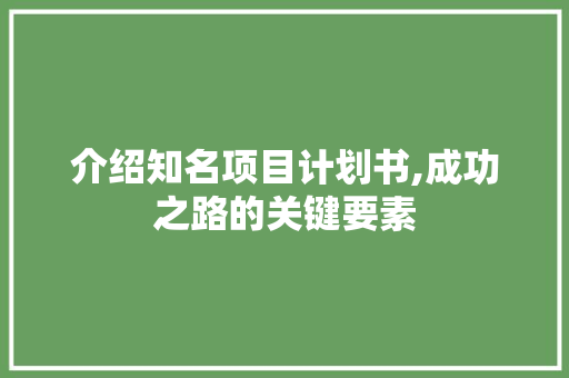 介绍知名项目计划书,成功之路的关键要素