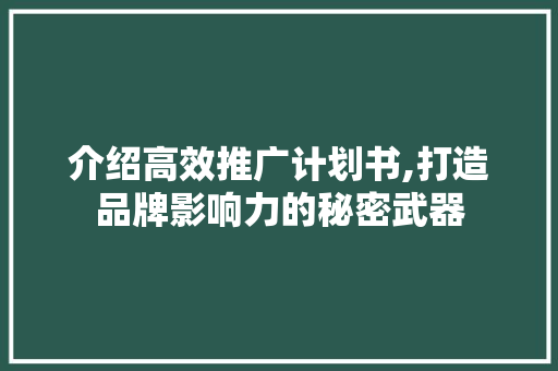 介绍高效推广计划书,打造品牌影响力的秘密武器