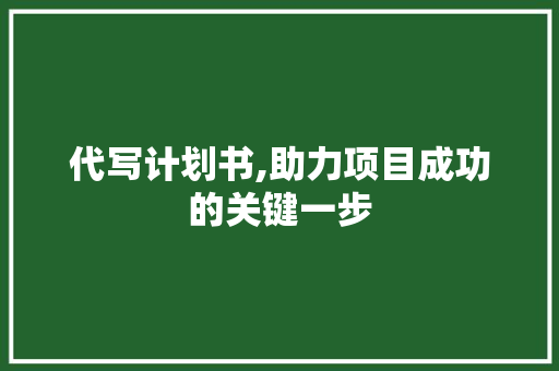 代写计划书,助力项目成功的关键一步