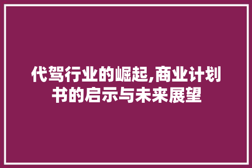 代驾行业的崛起,商业计划书的启示与未来展望