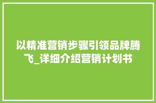 以精准营销步骤引领品牌腾飞_详细介绍营销计划书