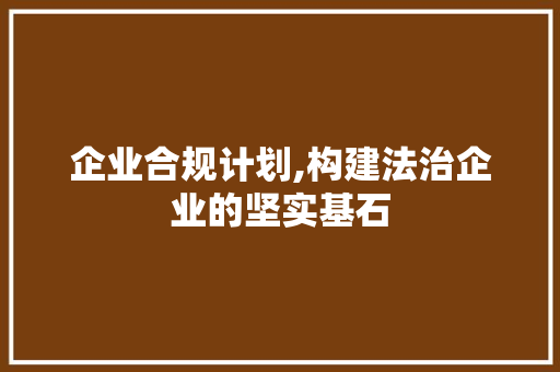 企业合规计划,构建法治企业的坚实基石