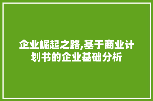 企业崛起之路,基于商业计划书的企业基础分析