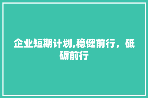 企业短期计划,稳健前行，砥砺前行