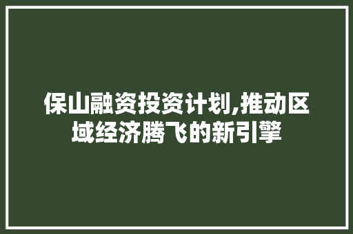 保山融资投资计划,推动区域经济腾飞的新引擎