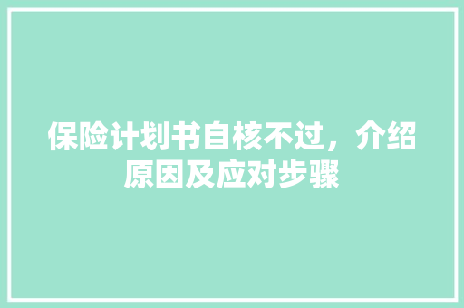 保险计划书自核不过，介绍原因及应对步骤