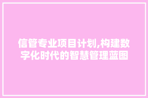 信管专业项目计划,构建数字化时代的智慧管理蓝图