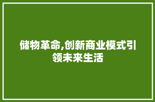 储物革命,创新商业模式引领未来生活