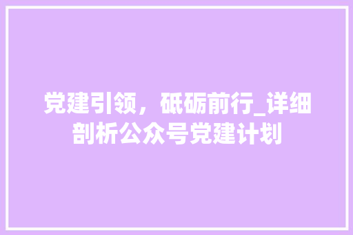 党建引领，砥砺前行_详细剖析公众号党建计划