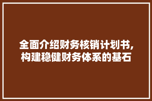 全面介绍财务核销计划书,构建稳健财务体系的基石