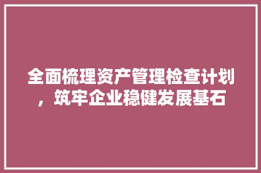 全面梳理资产管理检查计划，筑牢企业稳健发展基石